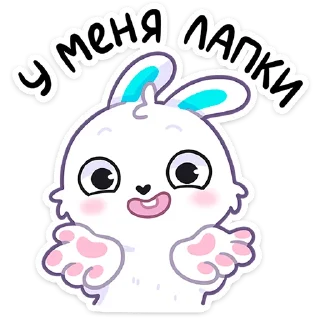 🐰