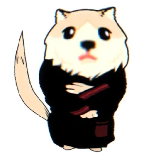 🐱