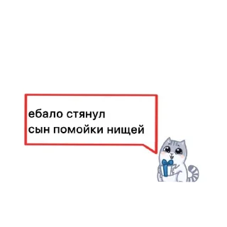 🐱
