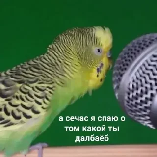 🎤