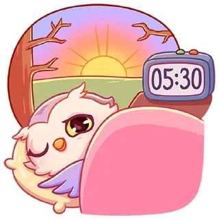 😴