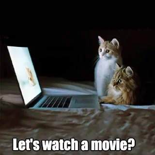 😺