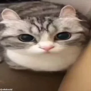 🔥