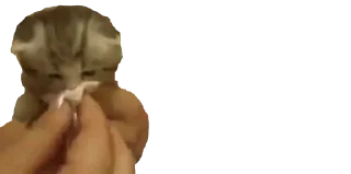 🤧