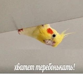 🤔