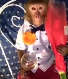 🌹