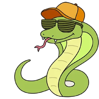 🐍