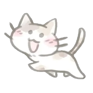 🐾