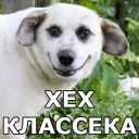 👍