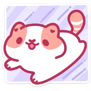 🐱