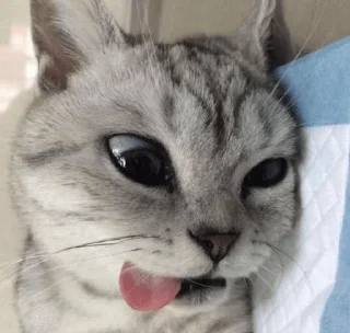 🤪