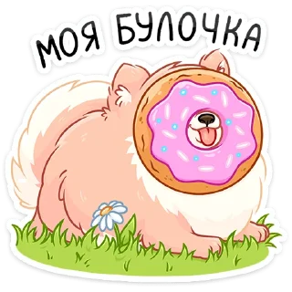 🍩