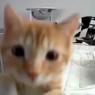 🤬