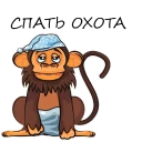 🙉