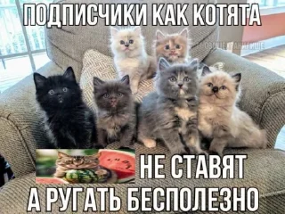 🍉