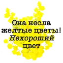 🌼