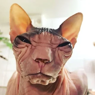 😑