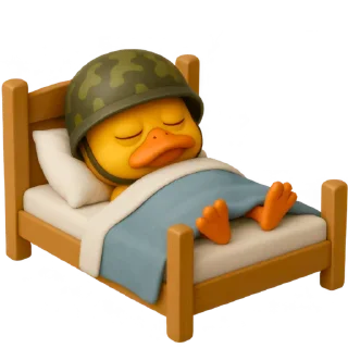 😴