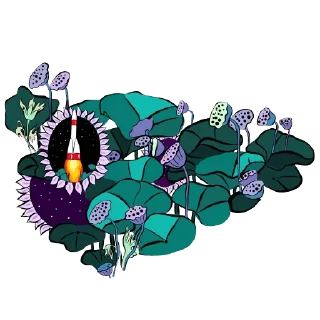 🌷