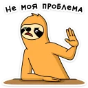 ✋️