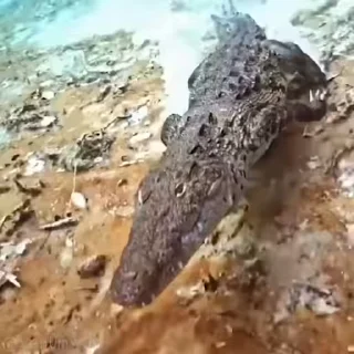 😏