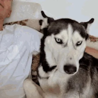 🥱