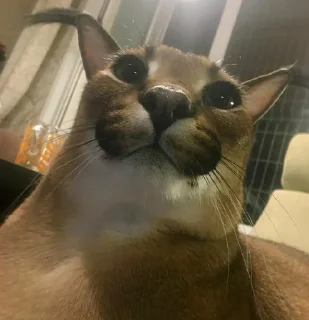 😳
