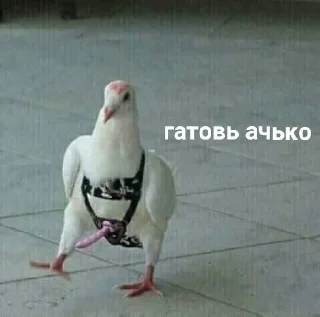 😏