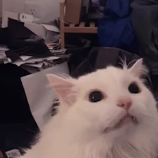 😱