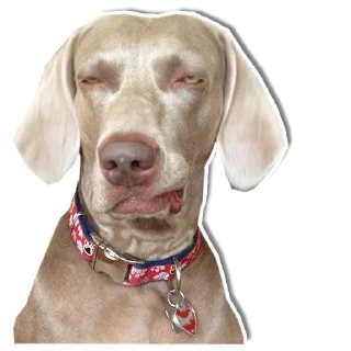 😑