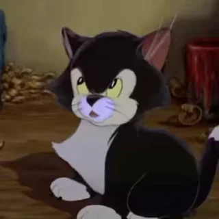 🙅‍♂️