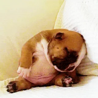 🐕