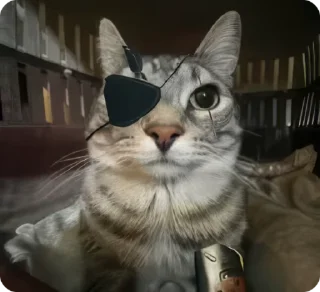 😾