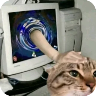 🐱