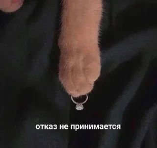 💍