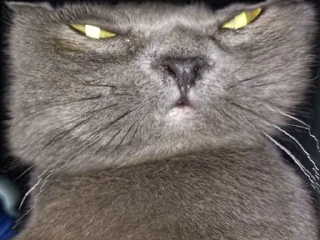 😡