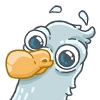 mr. seagull