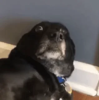😳