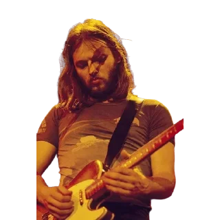🎸