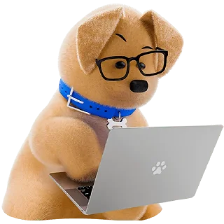 👨‍💻