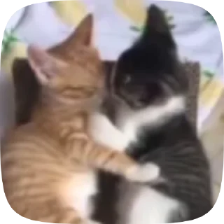 🥰