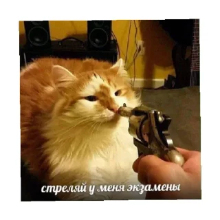 🔫
