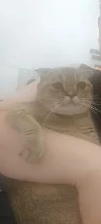 😏