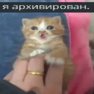 😮