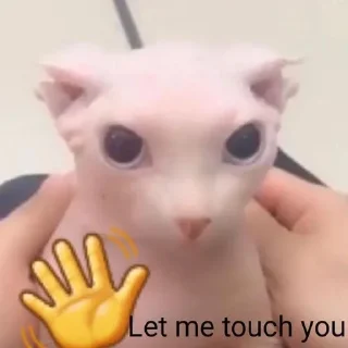 🖐