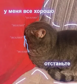 🤦