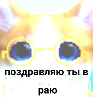 🤩