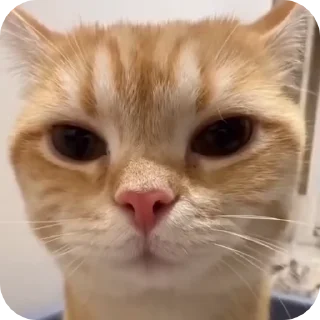 😏