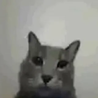 🥱