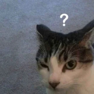 ❓